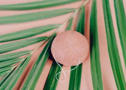 Todo Sobre la Famosa Esponja Konjac